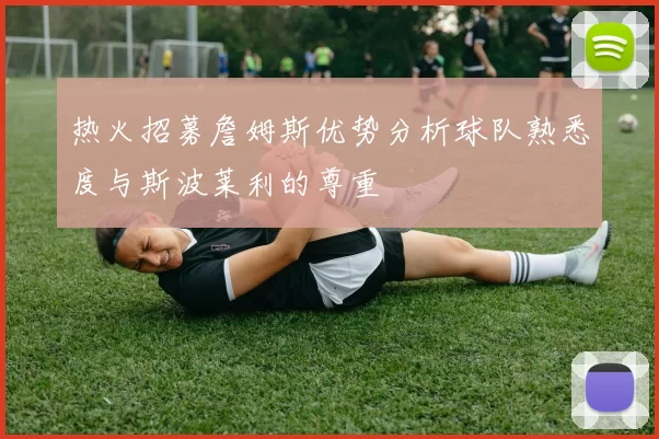 热火招募詹姆斯优势分析球队熟悉度与斯波莱利的尊重