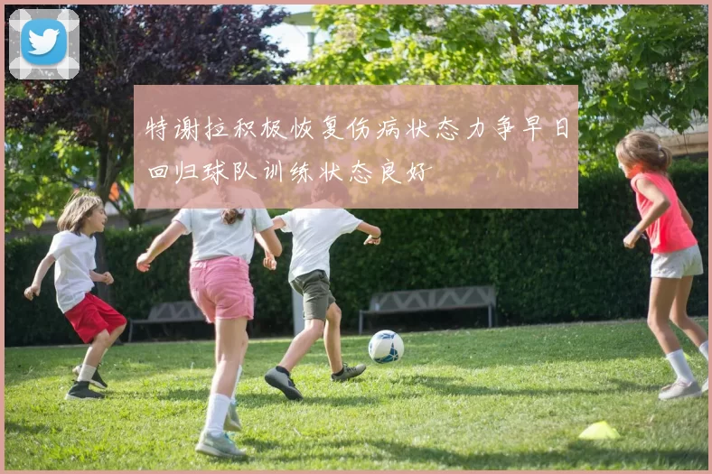 特谢拉积极恢复伤病状态力争早日回归球队训练状态良好